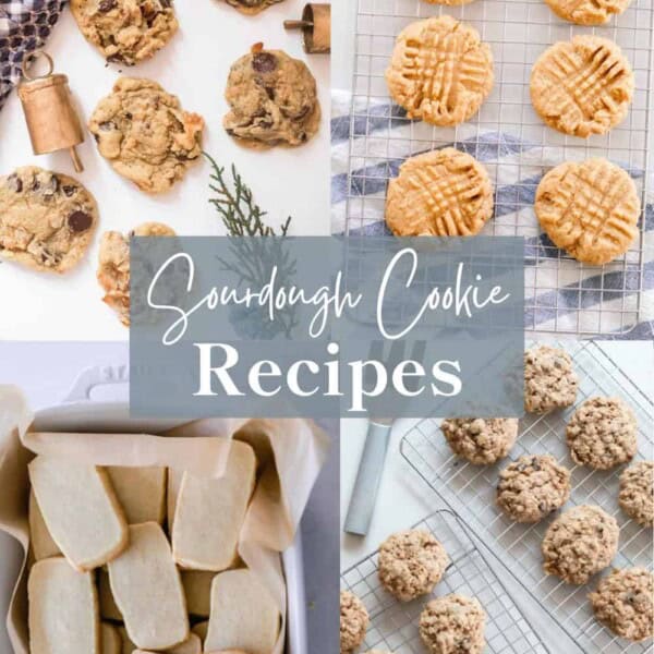 four picture of sourdough cookies: chocolate chip, peanut butter, shortbread and oatmeal