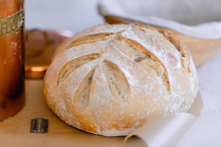 No-Knead Dutch Oven Sourdough Bread (A Beginner's Guide