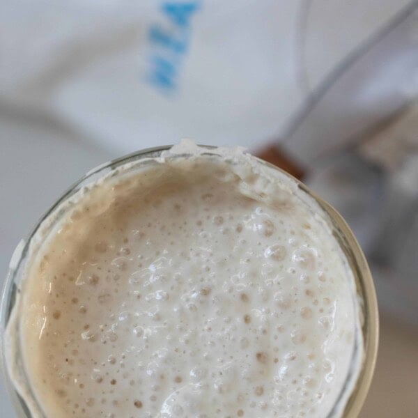 overhead photo of bubbly gluten free sourdough starter in a jar on