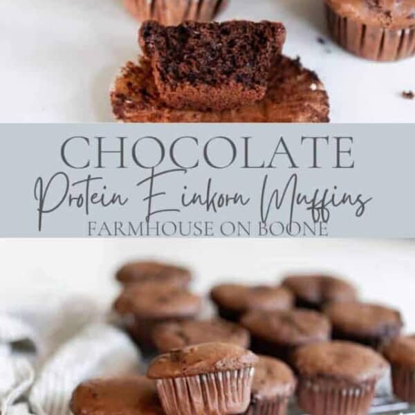 cropped-Chocolate-Protein-Einkorn-Muffins-4.jpg