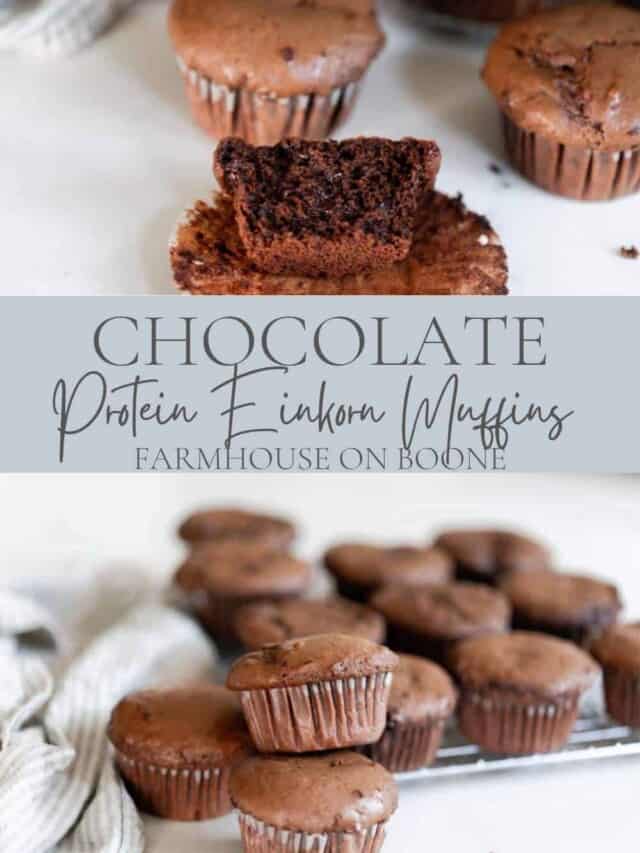 cropped-Chocolate-Protein-Einkorn-Muffins-4.jpg