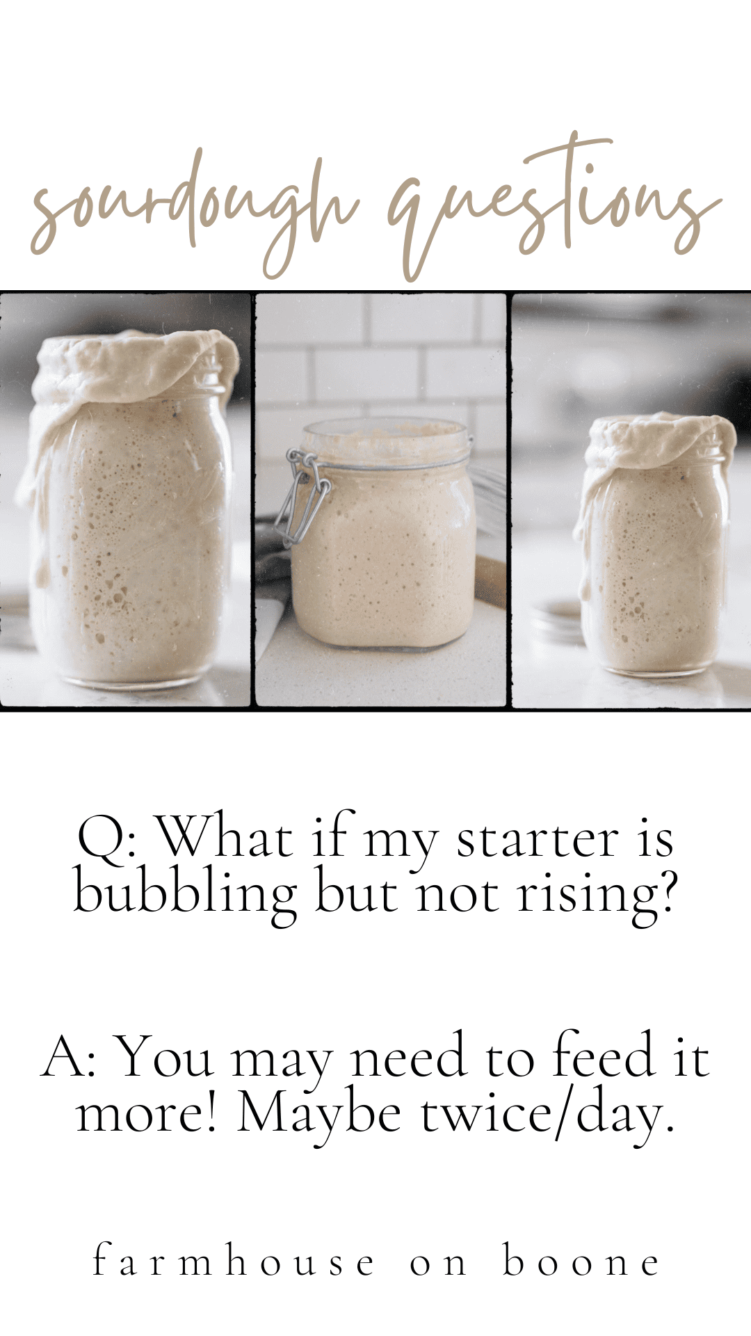 How To Dry Sourdough Starter - Farmhouse on Boone