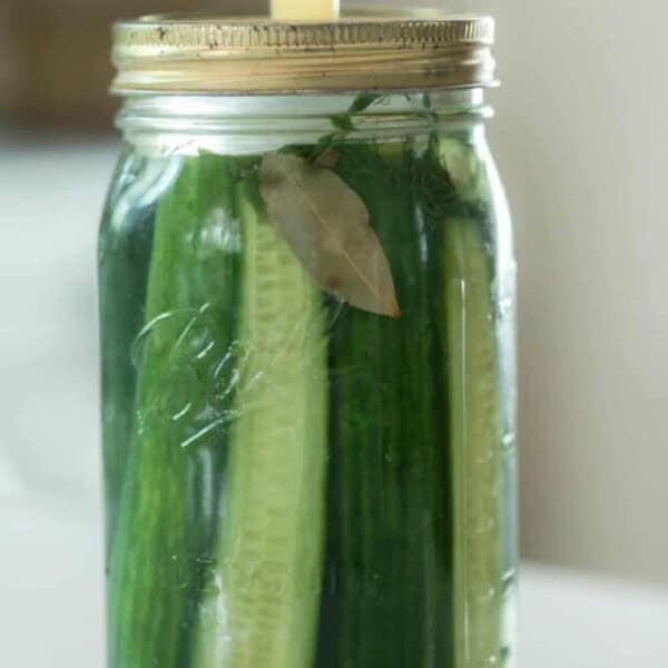 Homemade lacto-fermented pickles with bay leaves and dill in a mason jar with a fermentation lid on a white countertop