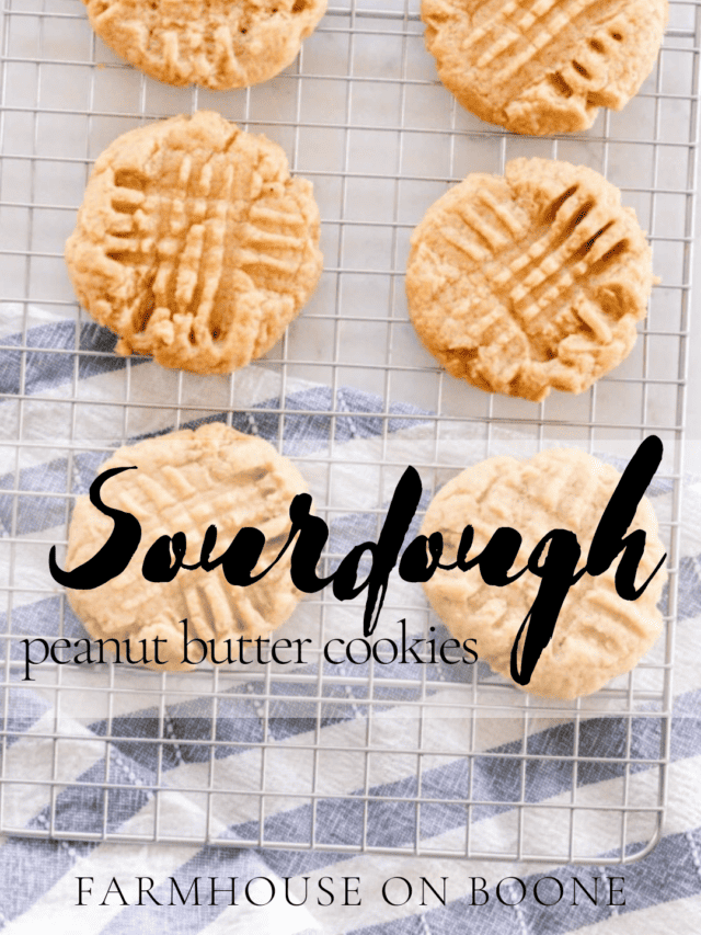 recipe card for sourdough peanut butter cookies