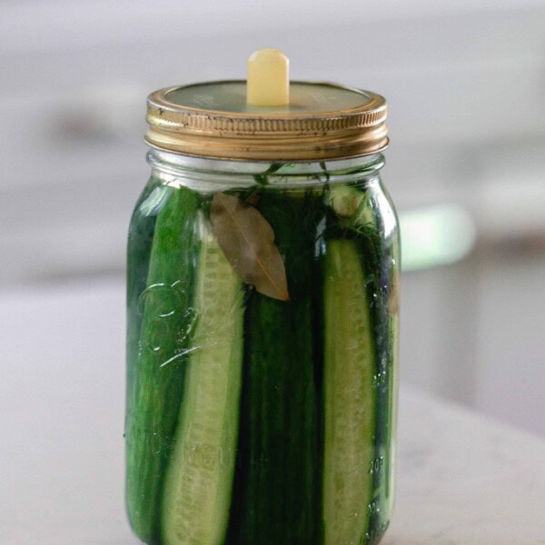 fermented pickles in a mason jar with a silicon fermentation lid. The jar sits on a white countertop with a vintage stove in the background