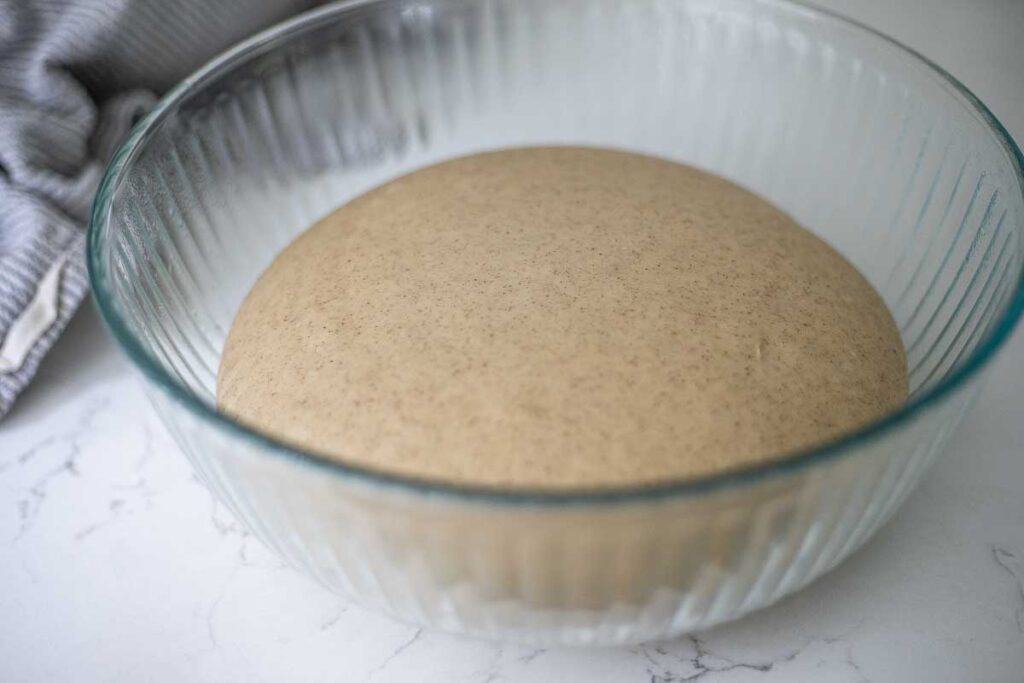 risen sourdough cinnamon bagel dough in a glass bowl.