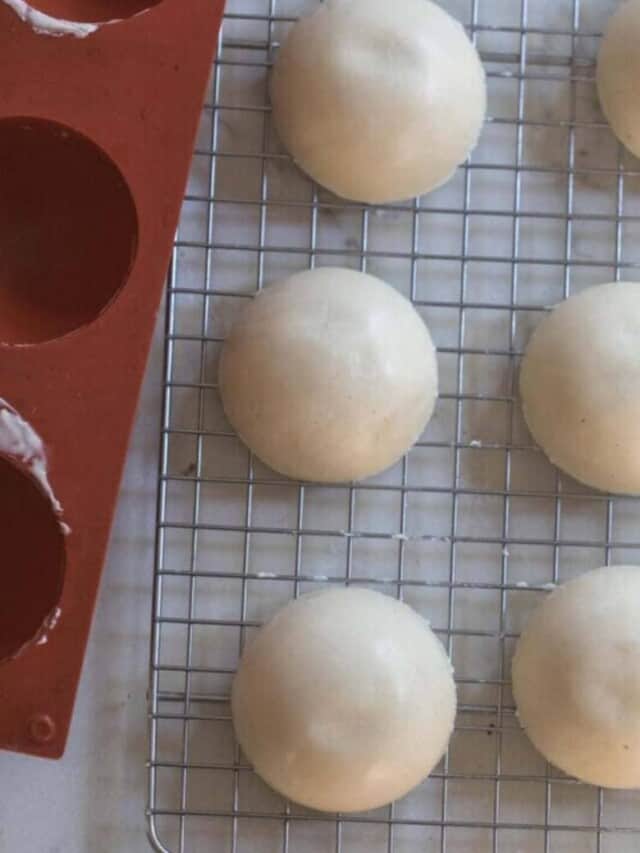 frozen sourdough starter disks on a wire rack with a silicon tray to the left