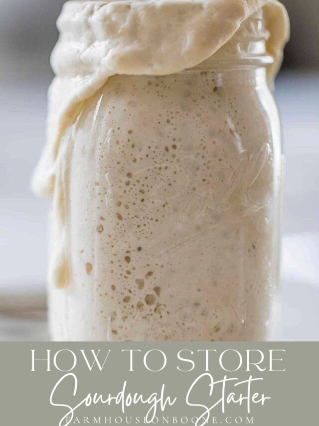 how to store sourdough starter-3