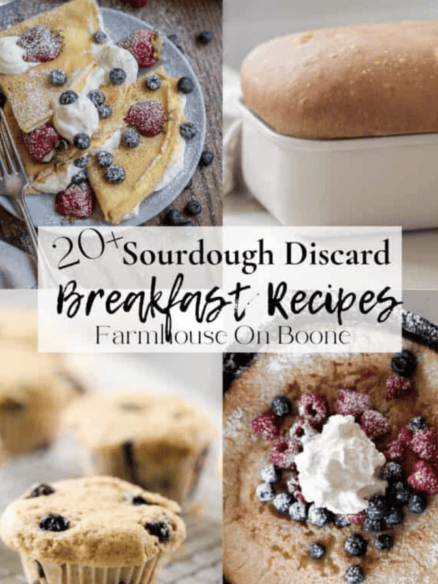 recipe card for how to make sourdough discard breakfast recipes