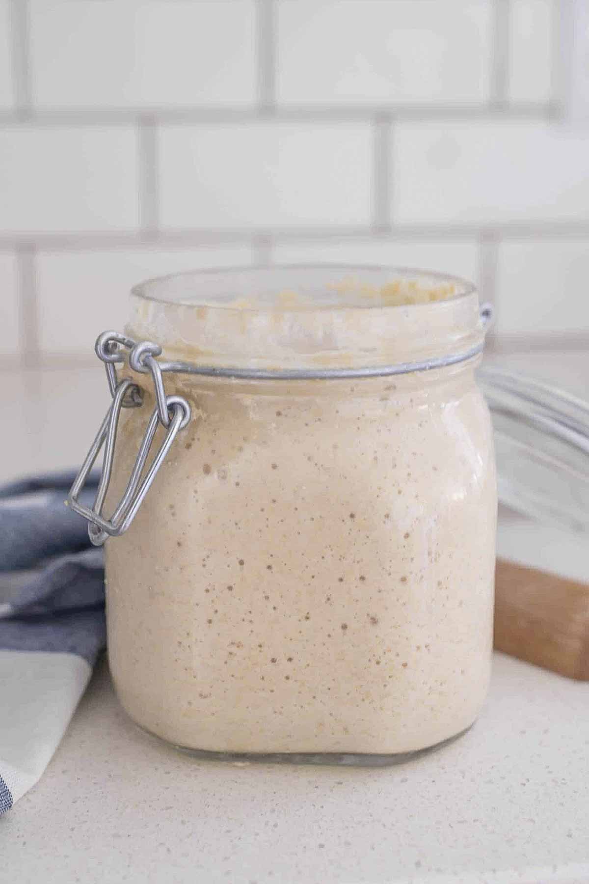 How To Store Sourdough Starter Farmhouse On Boone   How To Store Sourdough Starter 1 