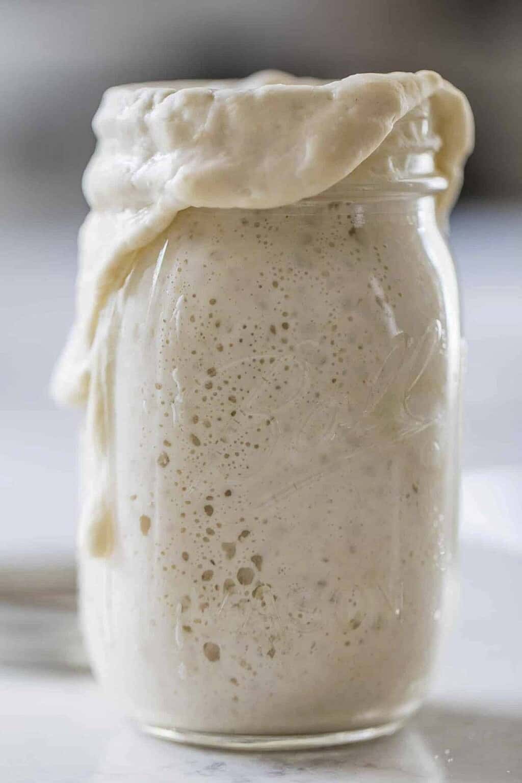 How To Store Sourdough Starter - Farmhouse on Boone