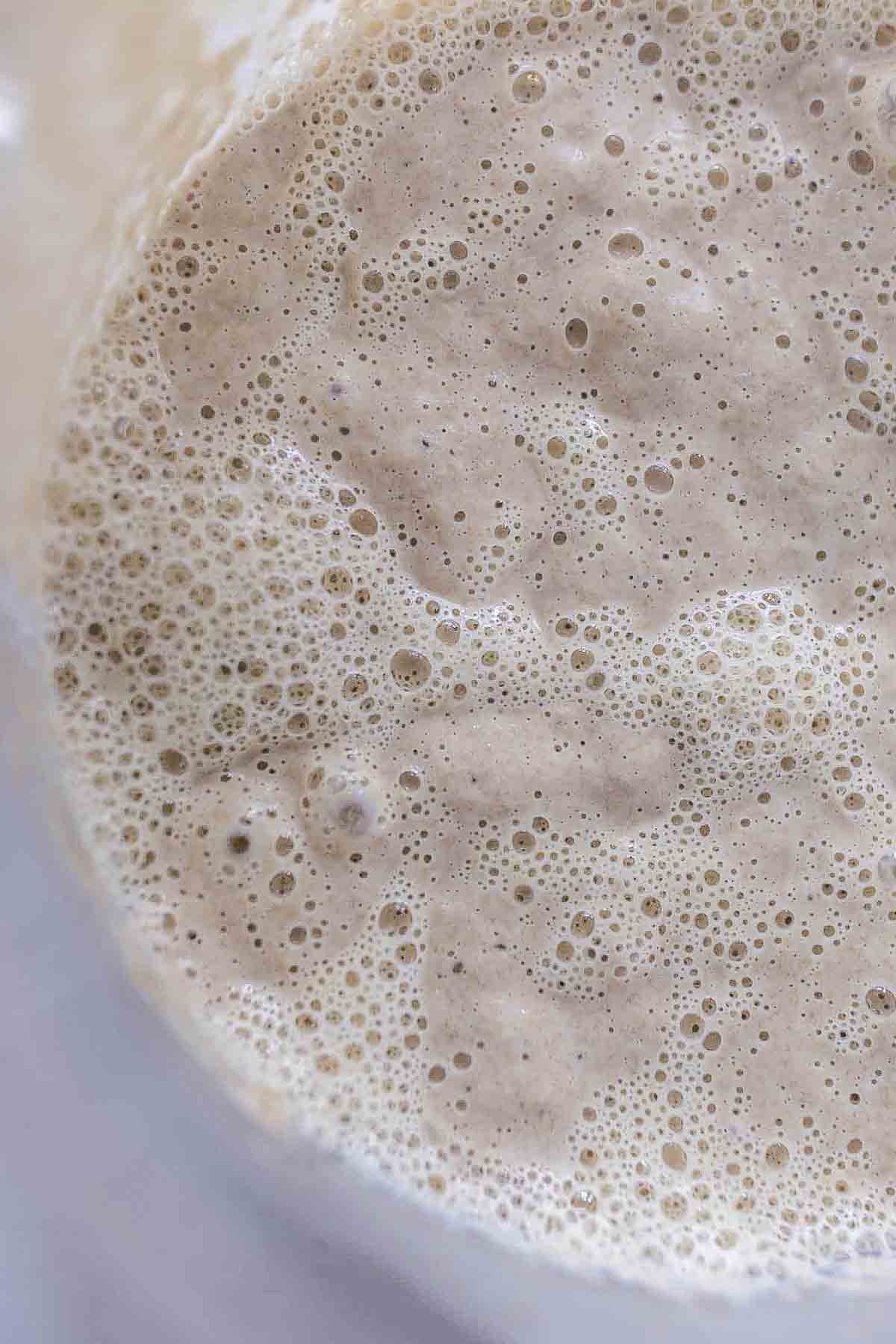 Overhead photo of sourdough starter in a glass bowl.