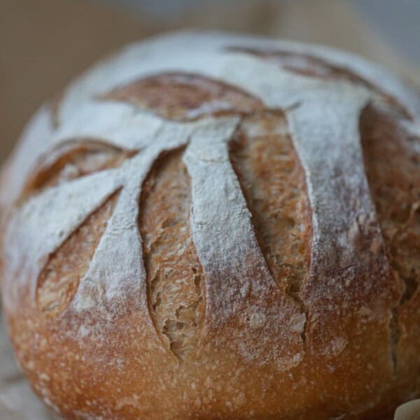 Close up of a honey sourdough loaf with leaf pattern scored into it