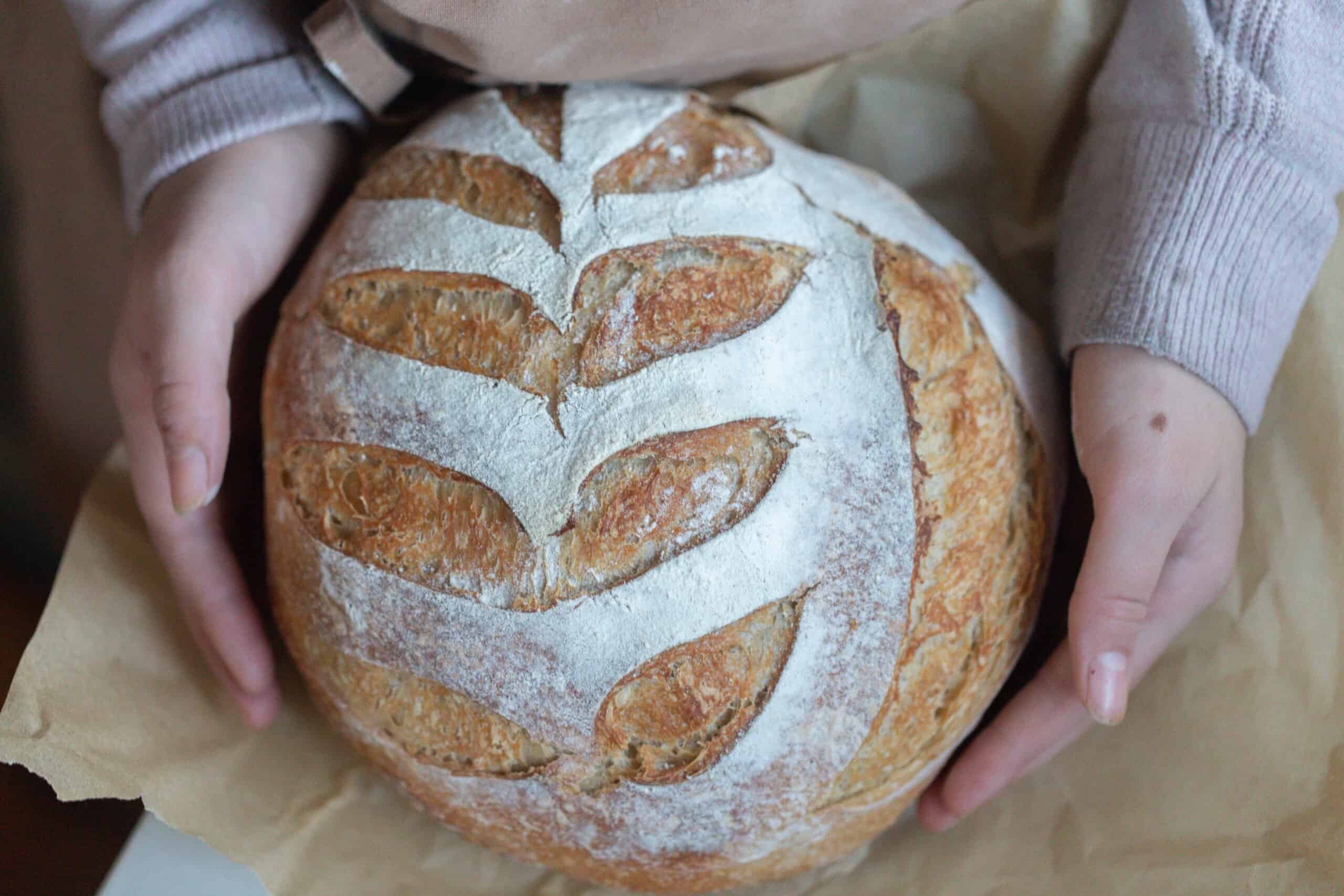 Honey Sourdough Bread Recipe - Farmhouse on Boone