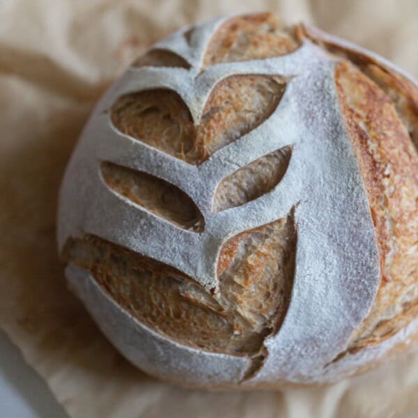 A low hydration sourdough loaf on a piece of parchment paper