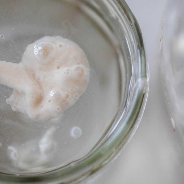 a close up photo of sourdough starter floating in water