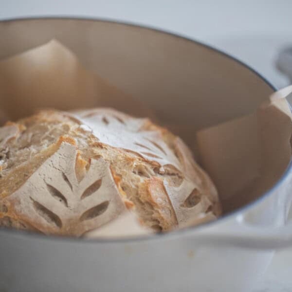 sourdough loaf in a white dutch oven