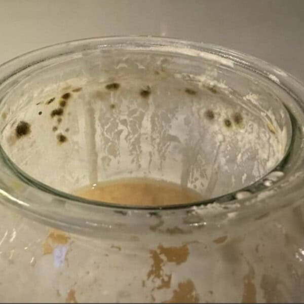 a sourdough starter with mold in a glass jar