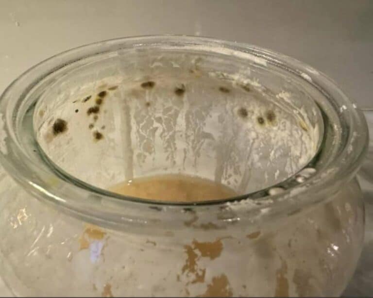 Moldy Sourdough Starter - Farmhouse on Boone