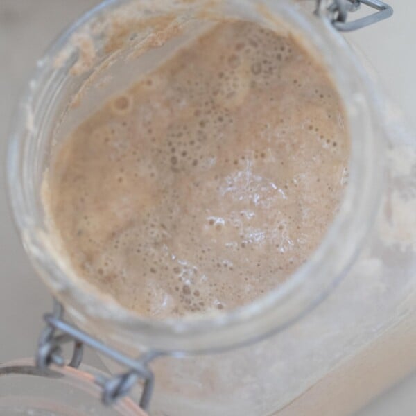 overhead picture of a bubbly whole wheat sourdough starter in a flip top glass container on a white countertop.