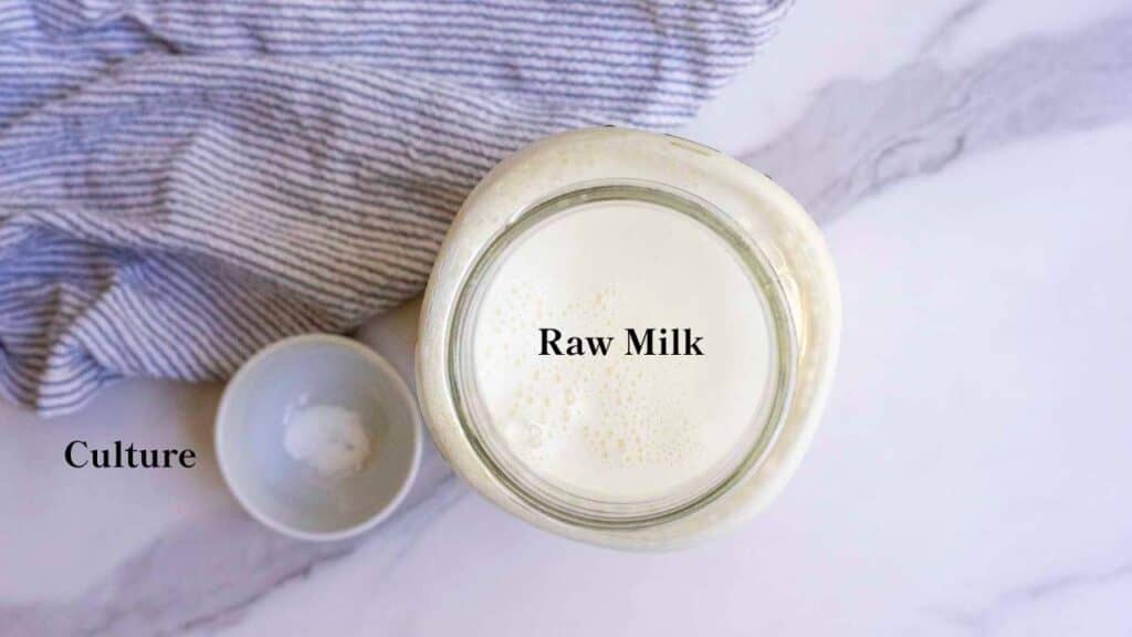 raw milk in a jar and a small bowl of yogurt culture