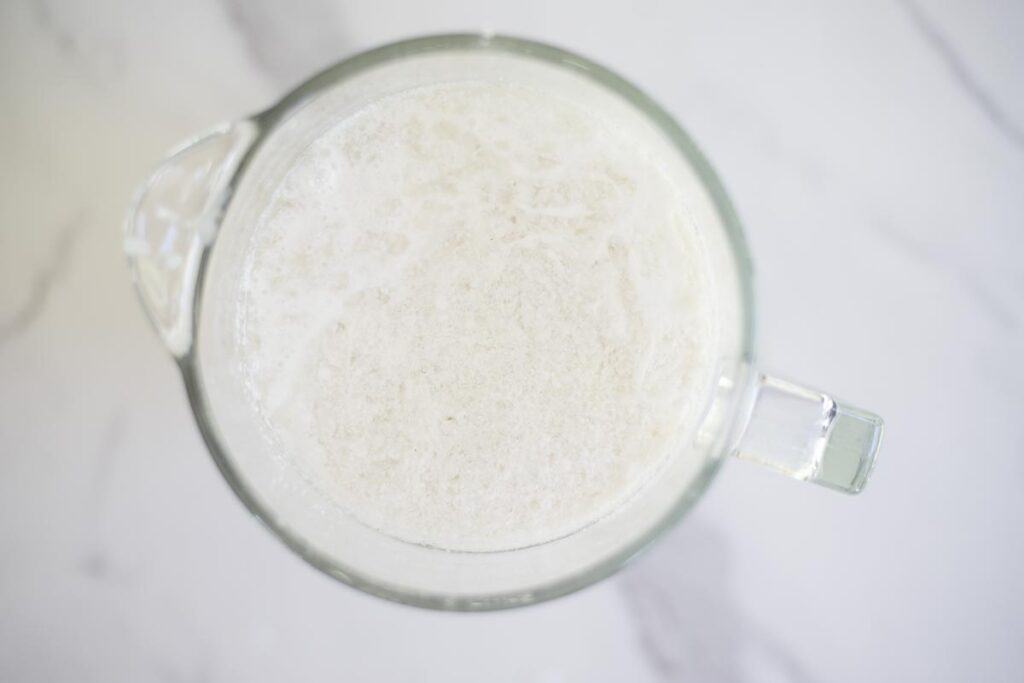 Date ice cream ingredients in a blender.