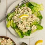 Tuna salad on a bed of lettuce.