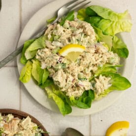 Tuna salad on a bed of lettuce.