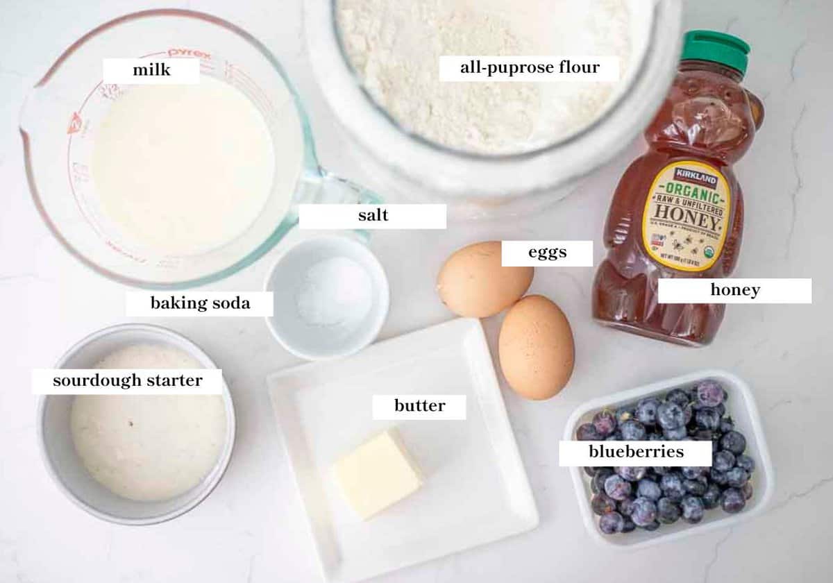 sourdough blueberry pancake ingredients spread out on a white countertop.