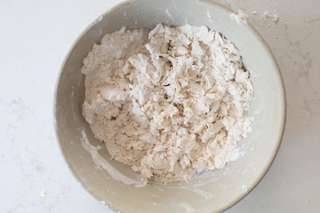 Pie dough in a large bowl.