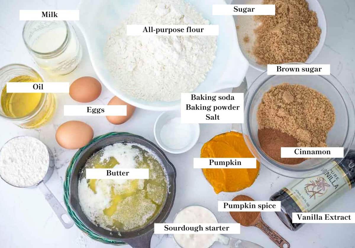 Sourdough pumpkin coffee cake ingredients spread out on a countertop.