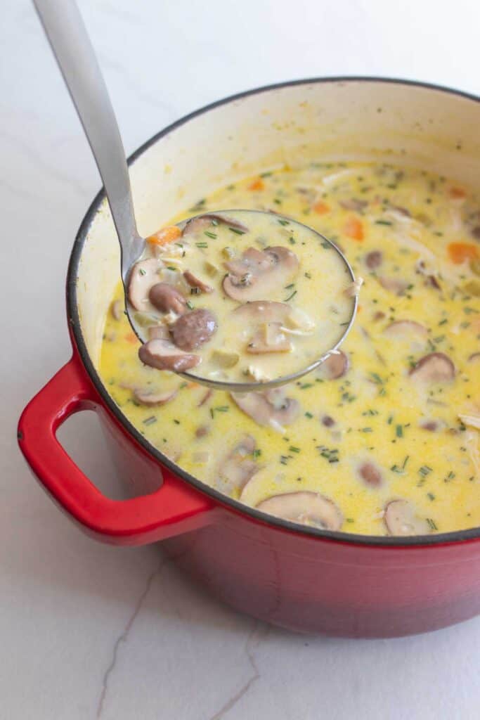 A large ladle scooping out soup from a large dutch oven.