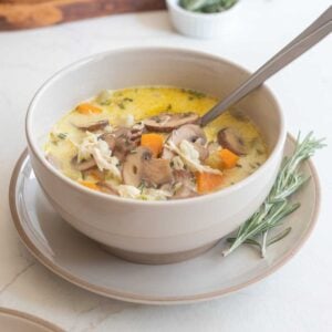 A bowl of chicken marsala soup.