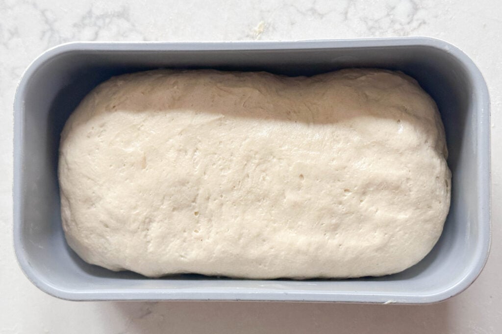 Einkorn sandwich bread dough in a loaf pan.