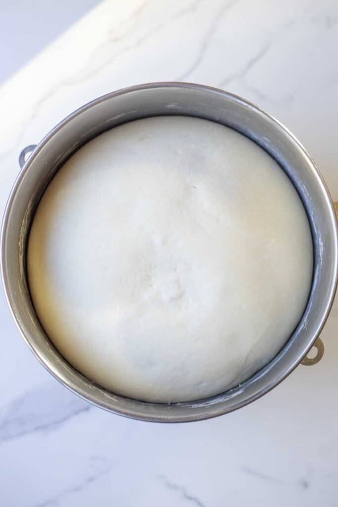 Risen sourdough bread dough in a bowl.