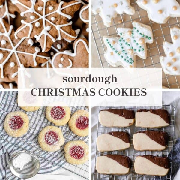 Gingerbread cookies, sourdough sugar cookies, discard thumbprint cookies, and shortbread cookies dipped in chocolate.