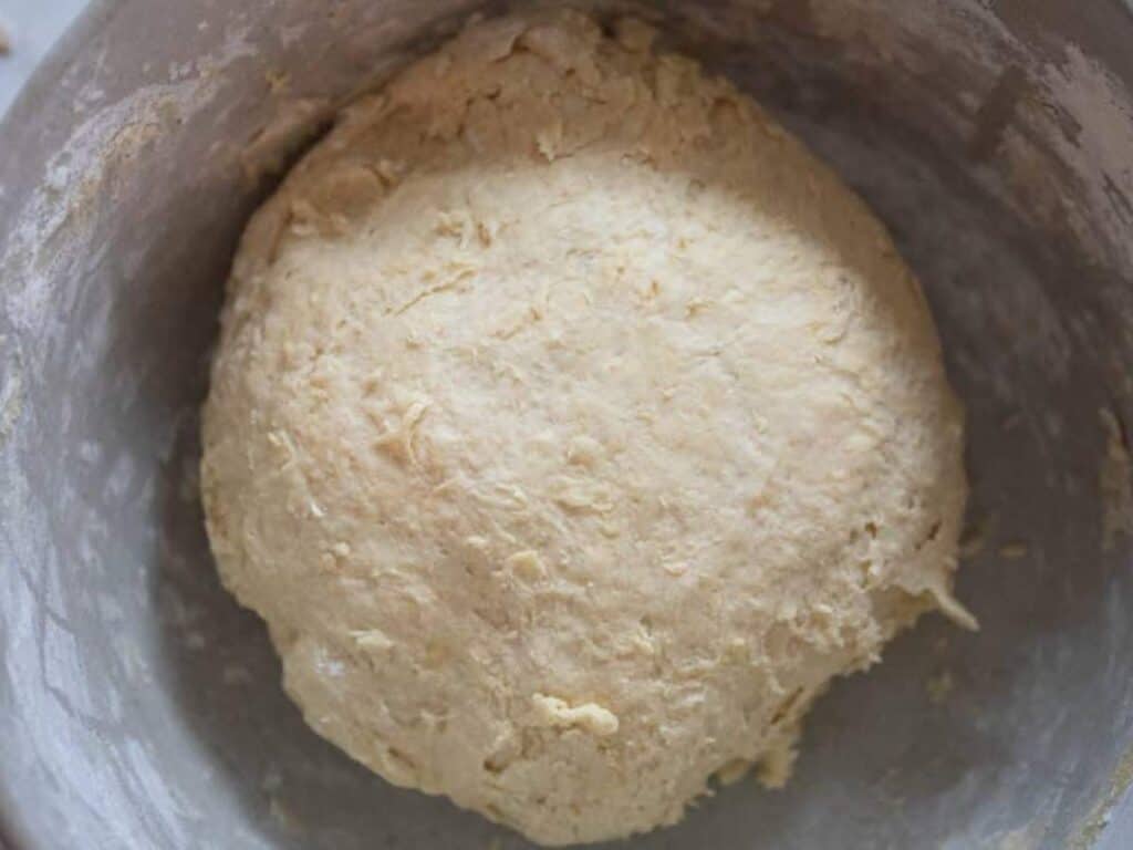 Einkorn sandwich bread dough in a bowl.