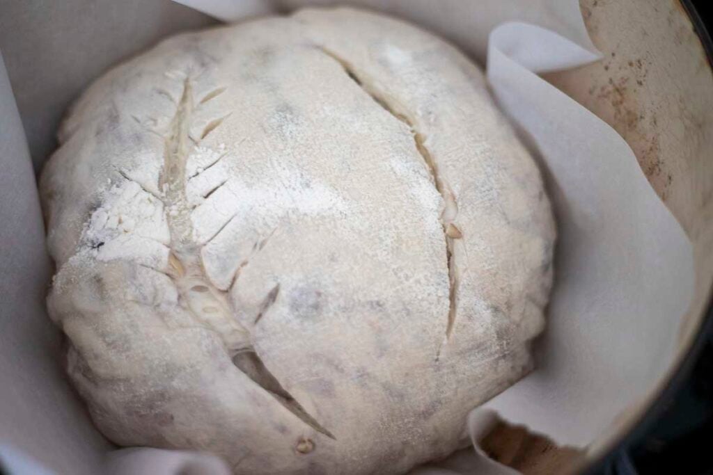 Sourdough bread dough in a parchment lined dutch oven.