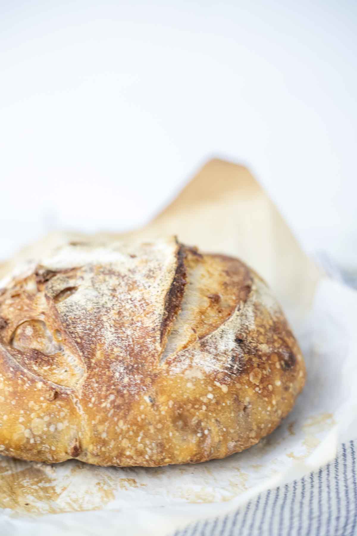 A loaf of sourdough fruit and nut bread on parchment paper.