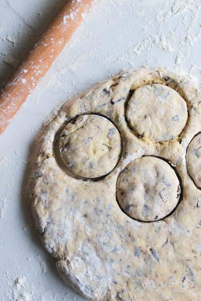 Rolled out dough with circles cut out.