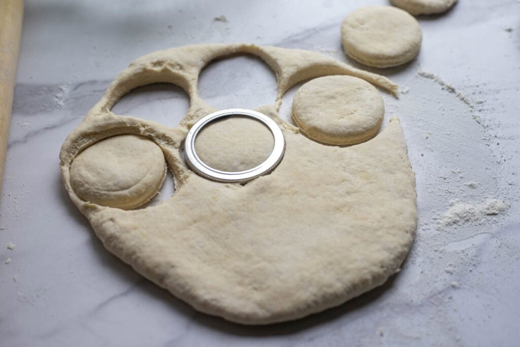 Biscuit dough rolled out with circles cut out. 