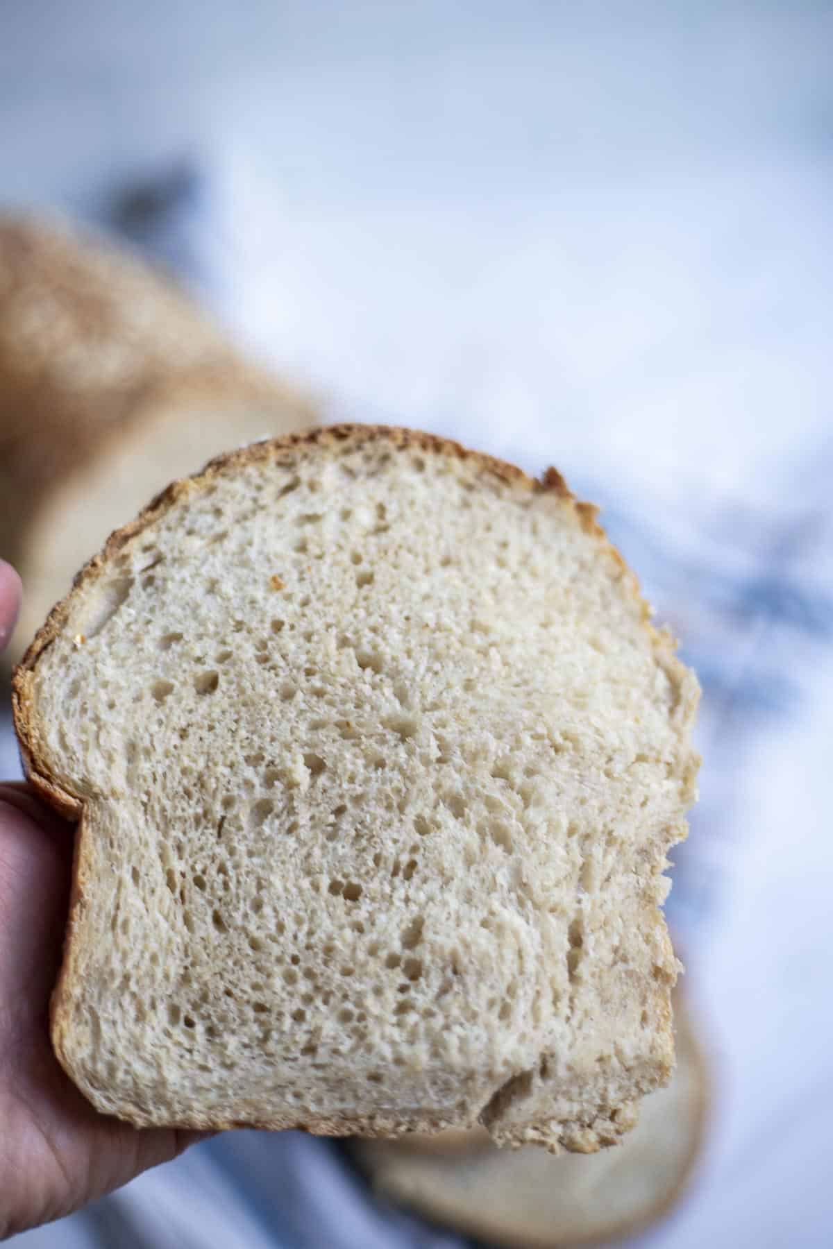 Hand holding a slice of sourdough oatmeal bread.