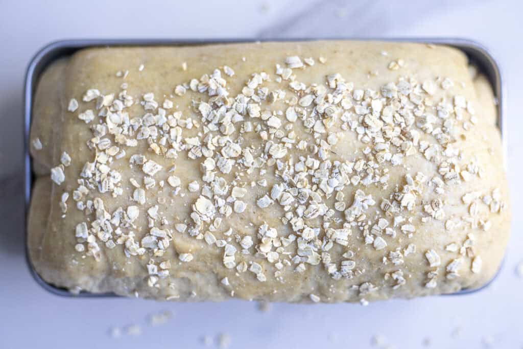 sourdough oatmeal bread dough in a loaf pan topped with an egg wash and dried oatmeal.