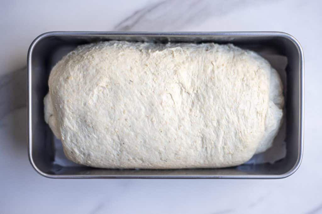 bread dough in a greased loaf pan.