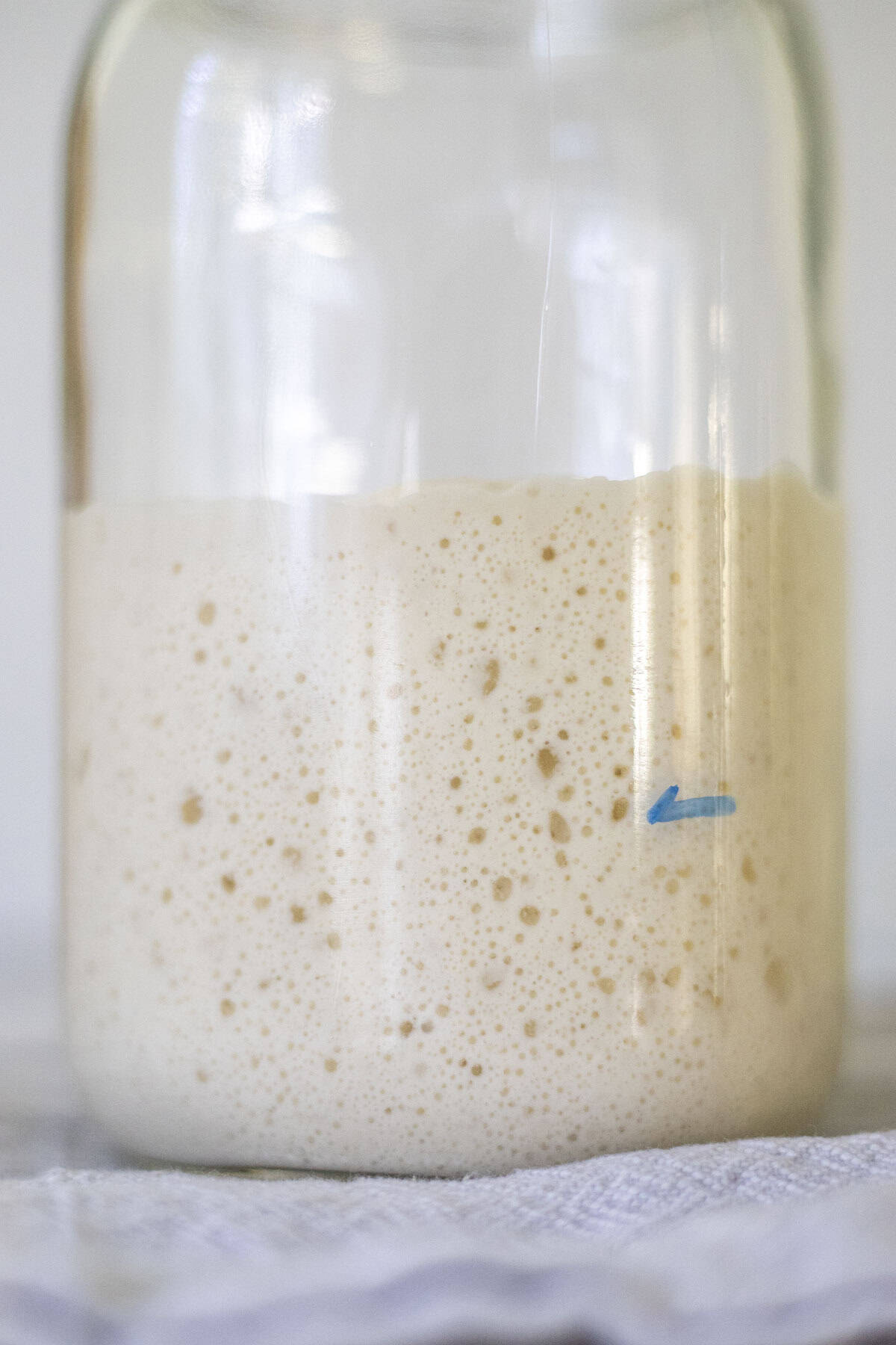 Close up pictures of a sourdough started that has doubled in size in glass jar.