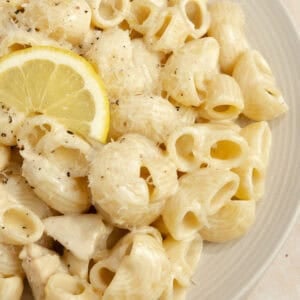 Pasta with a cream sauce, chicken and lemon wedge on a plate.